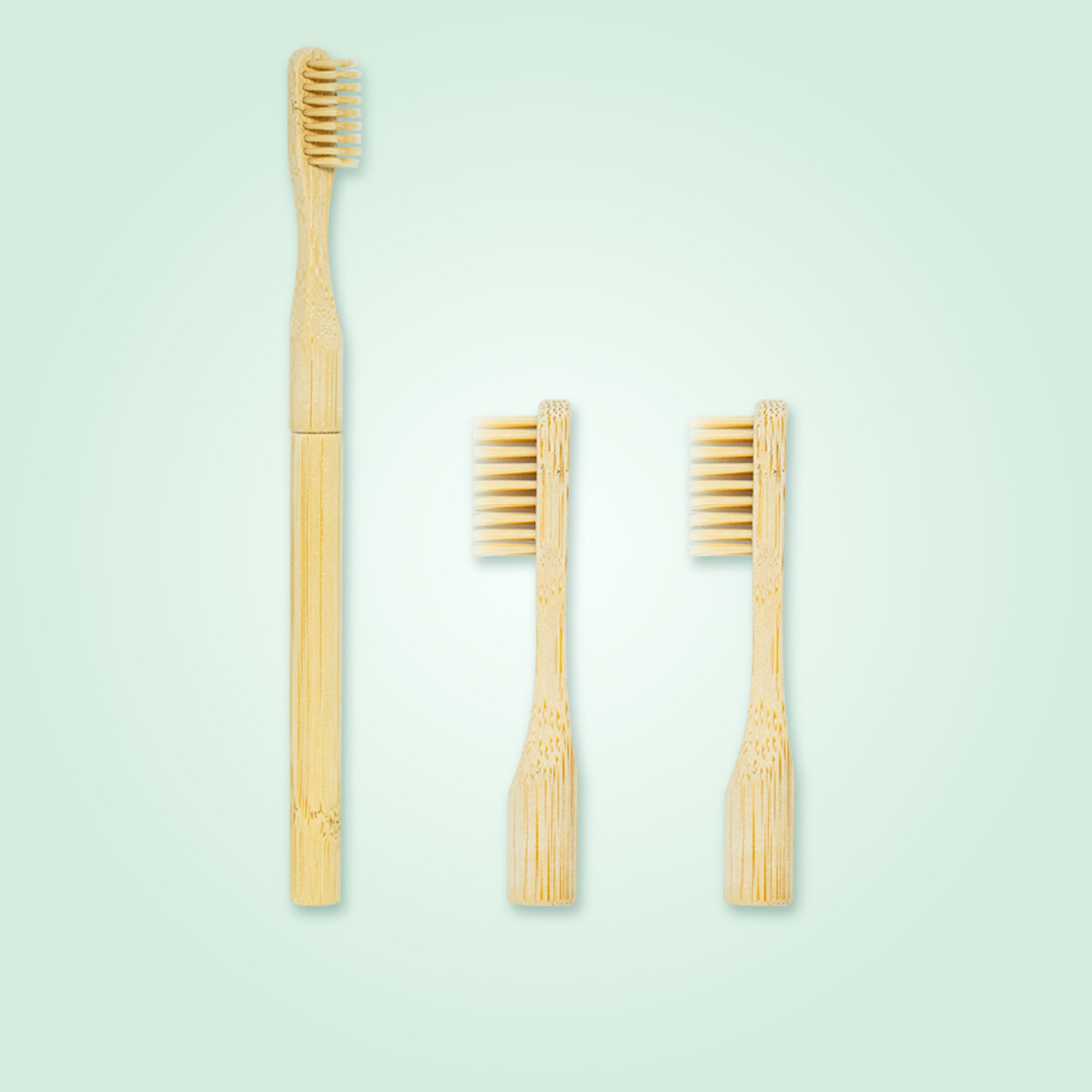 Starter set: 1 handle + 2 heads